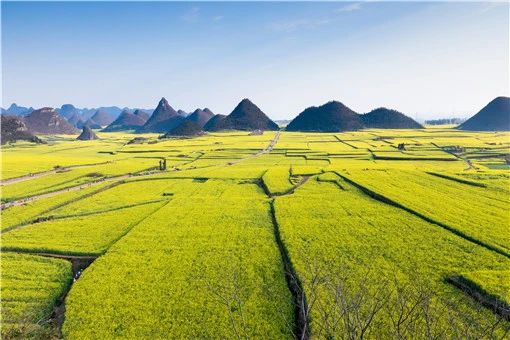 土地流轉(zhuǎn)補償相關(guān)政策2021-攝圖網(wǎng)