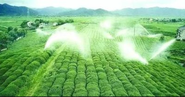 殺蟲(chóng)燈